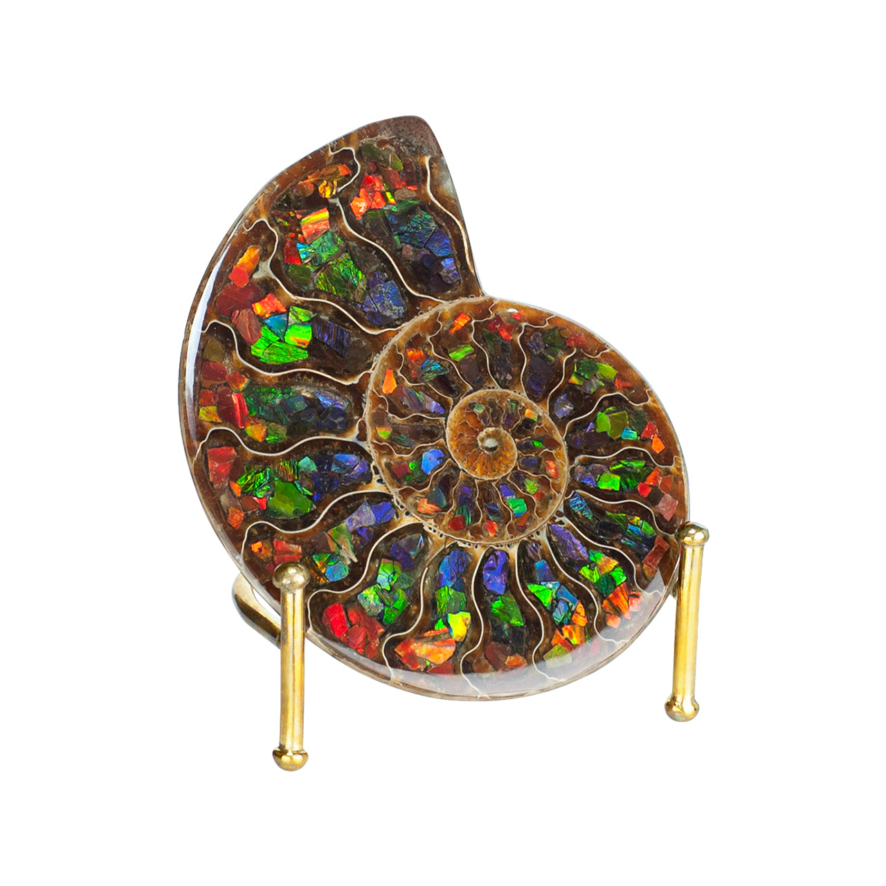 Demi-ammonite avec incrustation d'ammolite, pierre de présentation 10 cm, 1 pièce