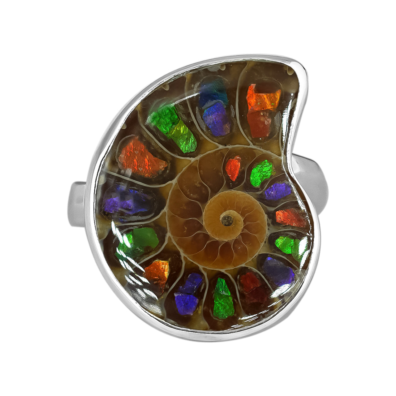 Ring Adjustable Ammonite with Ammolite Inlay