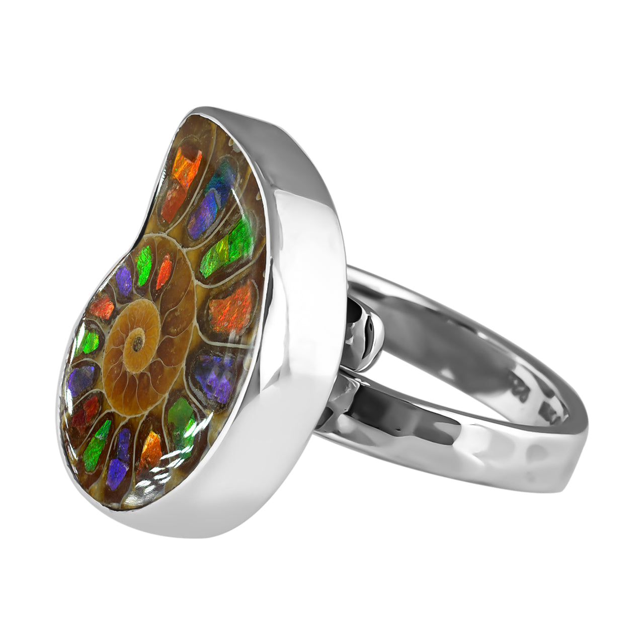 Ring Adjustable Ammonite with Ammolite Inlay