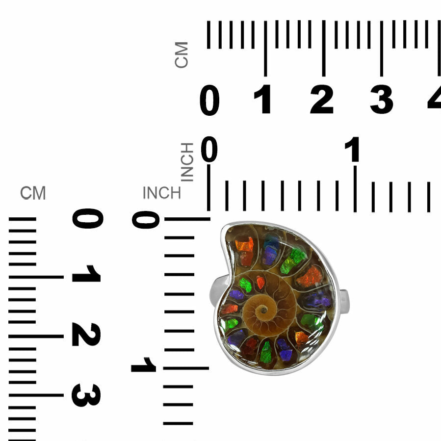 Ring Adjustable Ammonite with Ammolite Inlay