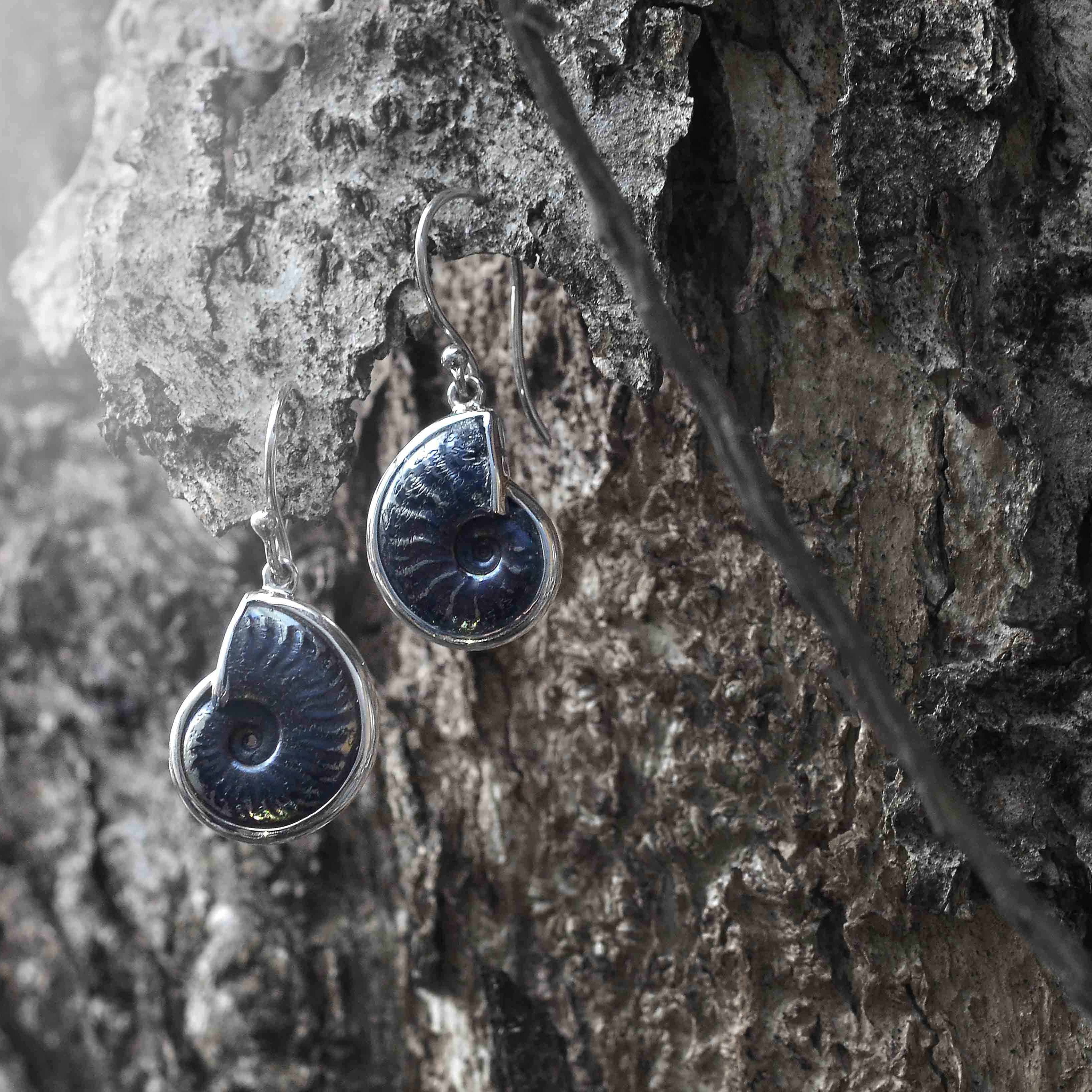 Starborn Fossilized Hematite Ammonite Earrings in Sterling Silver