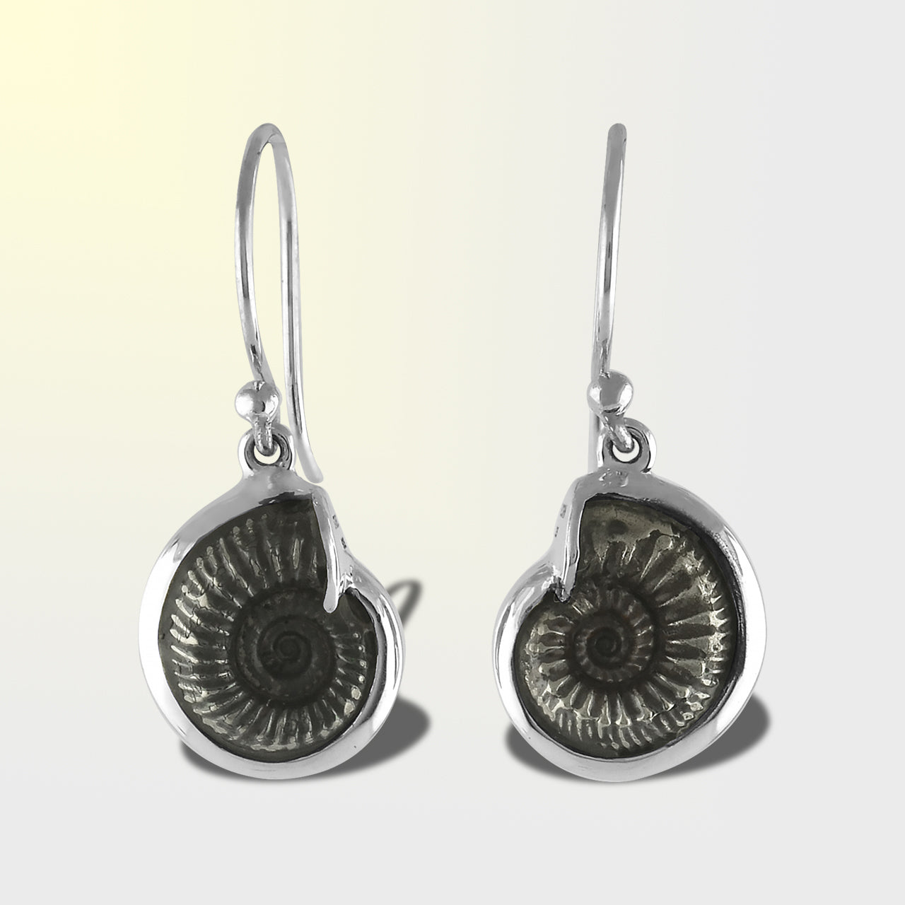 Hematite Ammonite Earrings