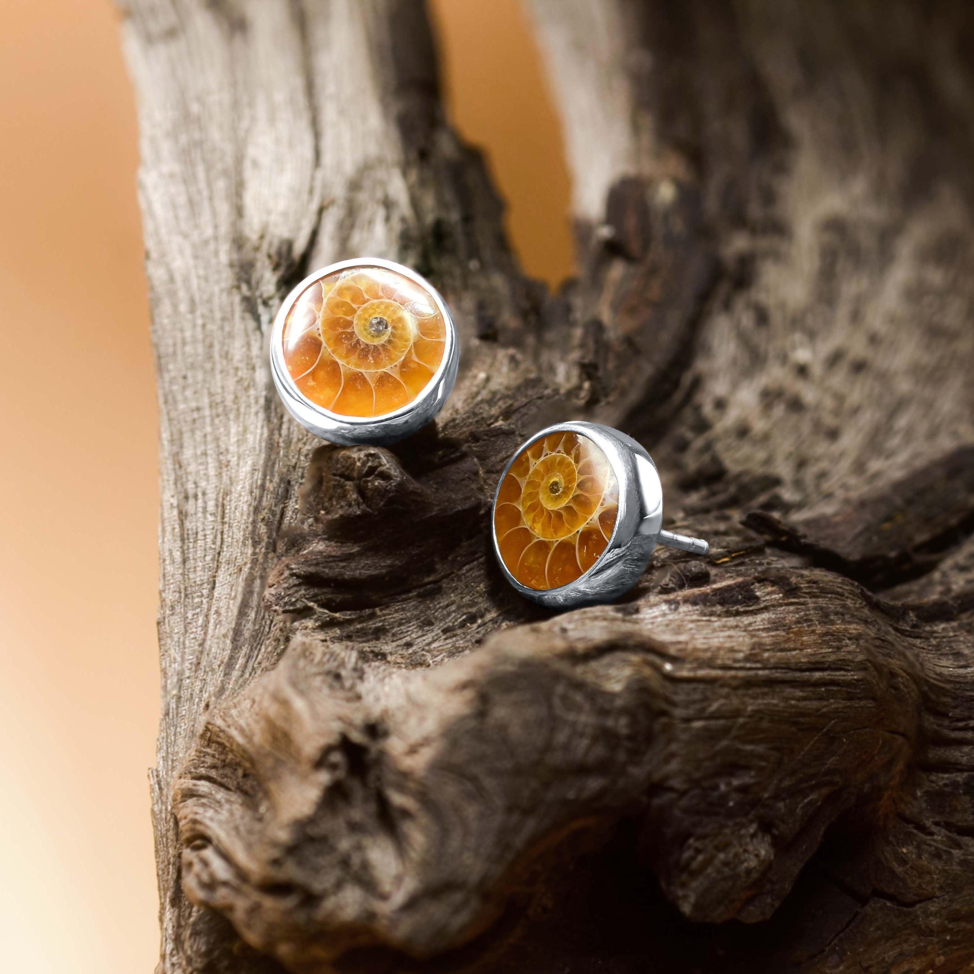 Starborn Fossil Ammonite Round Post Earrings in Sterling Silver