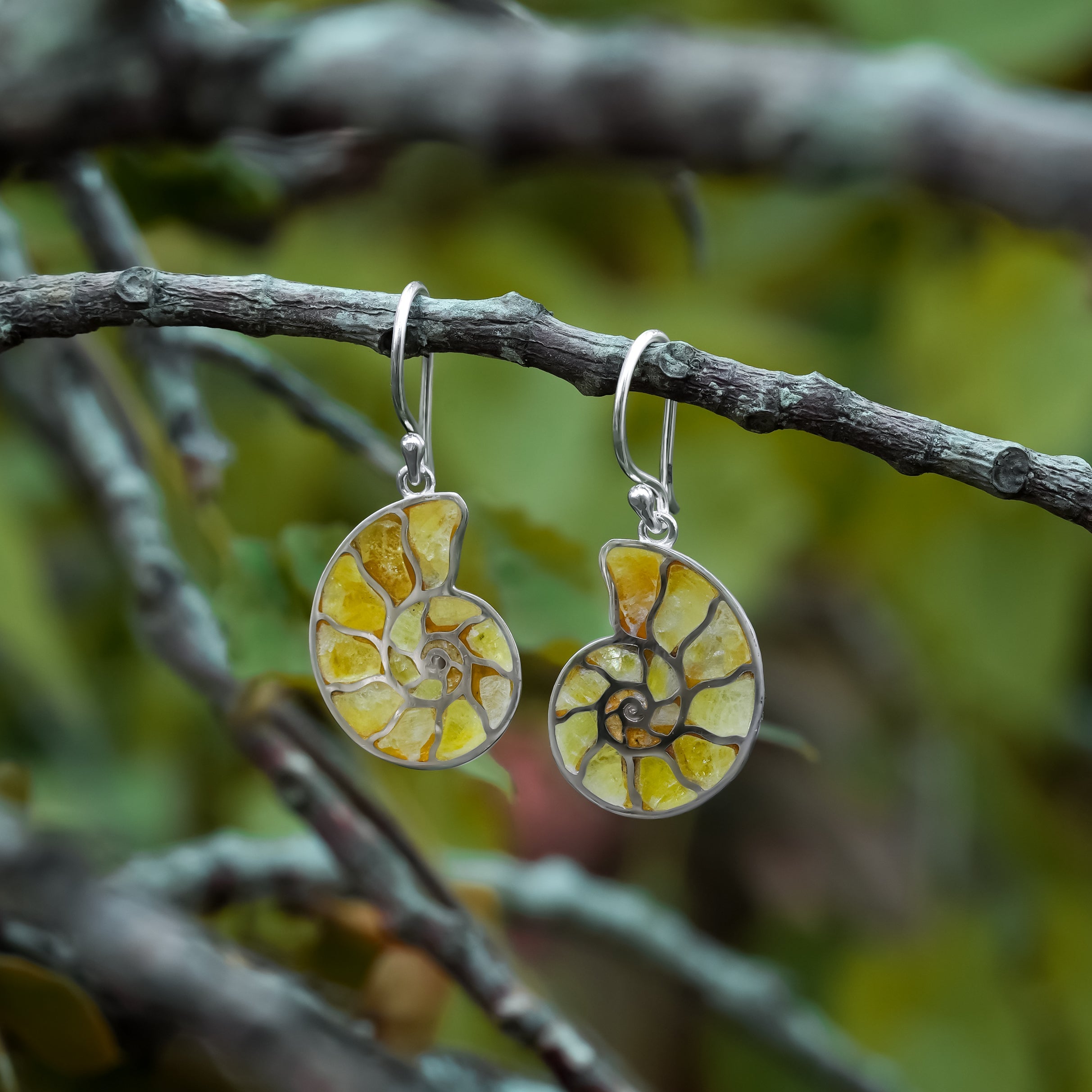 Starborn Nautilus Ammonite with Gemstones Inlay Earring in Sterling Silver - Small