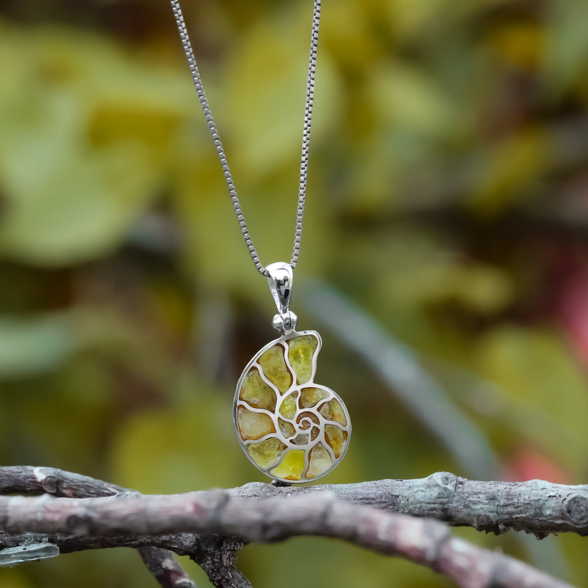 Starborn Gemstones Inlay Nautilus Ammonite Pendant in Sterling Silver