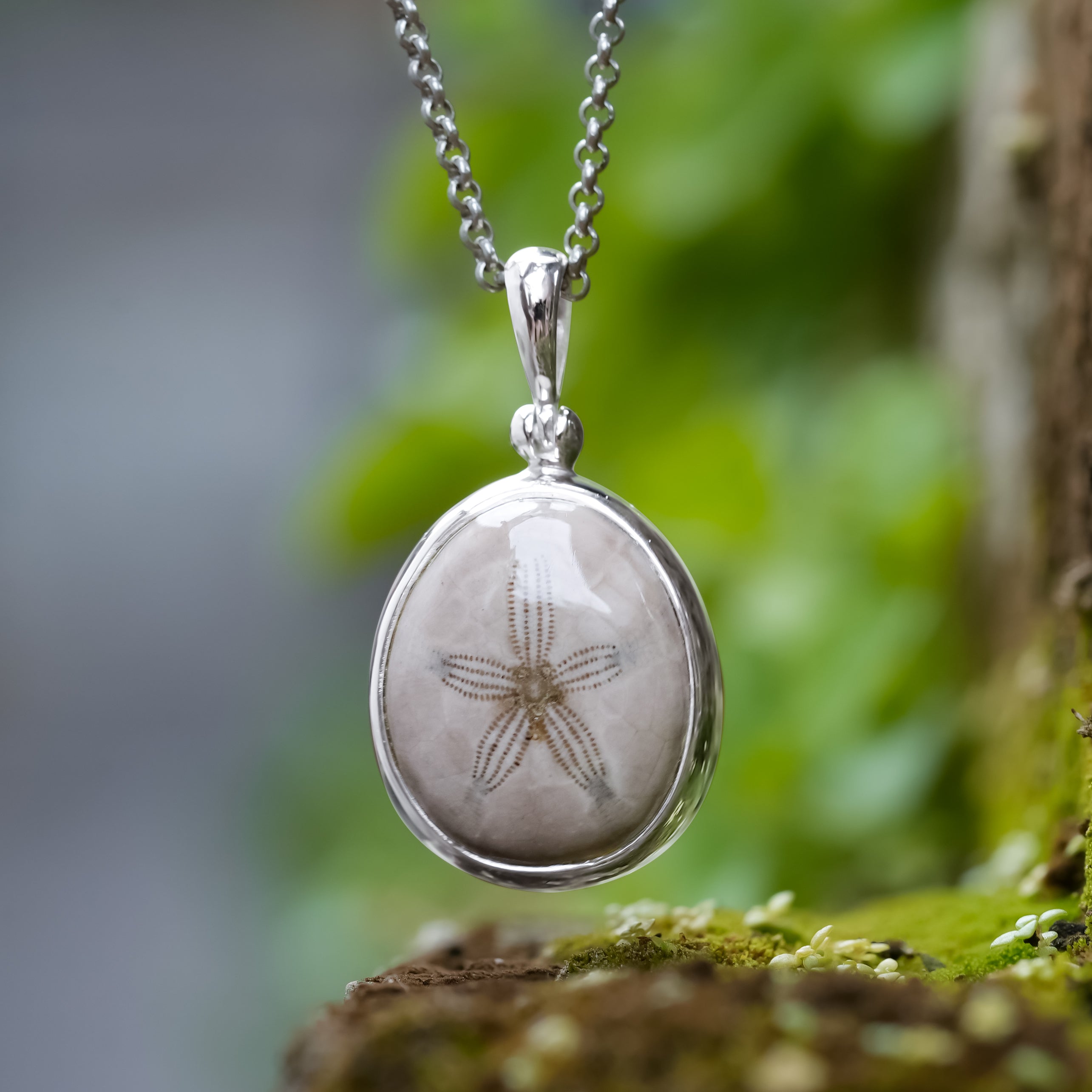 Starborn Fossilized Sea Urchin Pendant in Sterling Silver