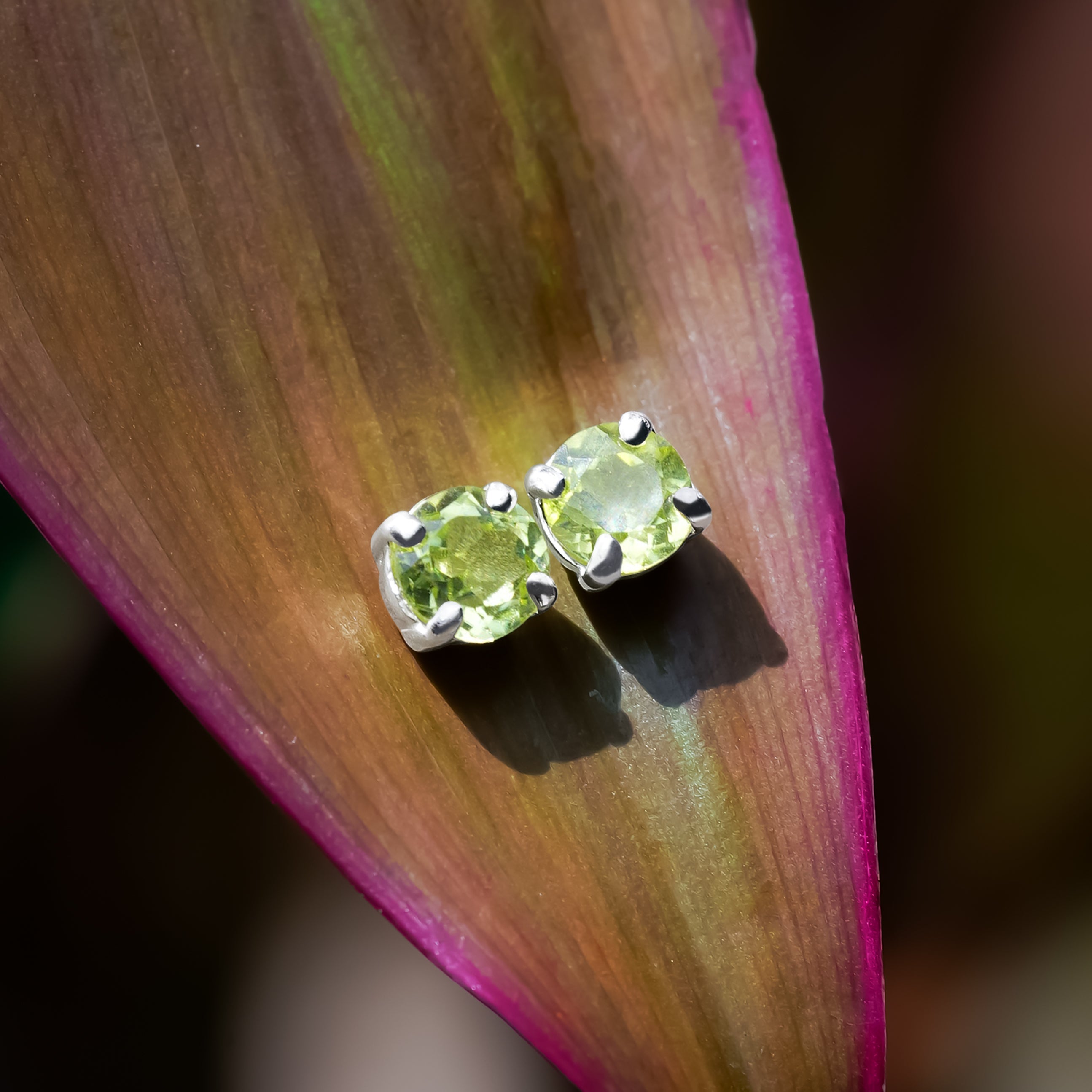 Starborn Faceted Gemstone Round 5mm Post Earrings in Sterling Silver