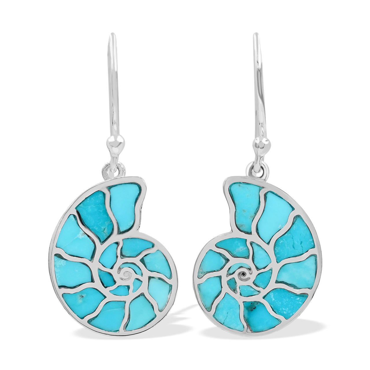 Sleeping Beauty Turquoise Cast Ammonite Earrings