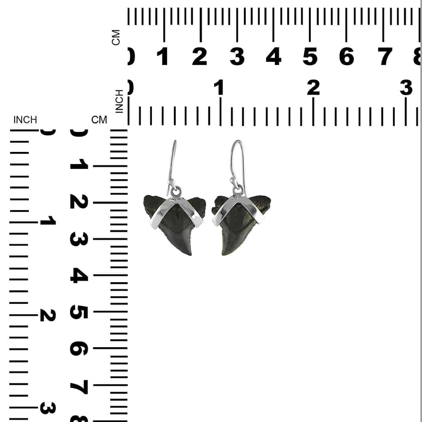 Fossil-Shark-Tooth-Sterling-Silver-Earrings-B01IFTQ3VC-5
