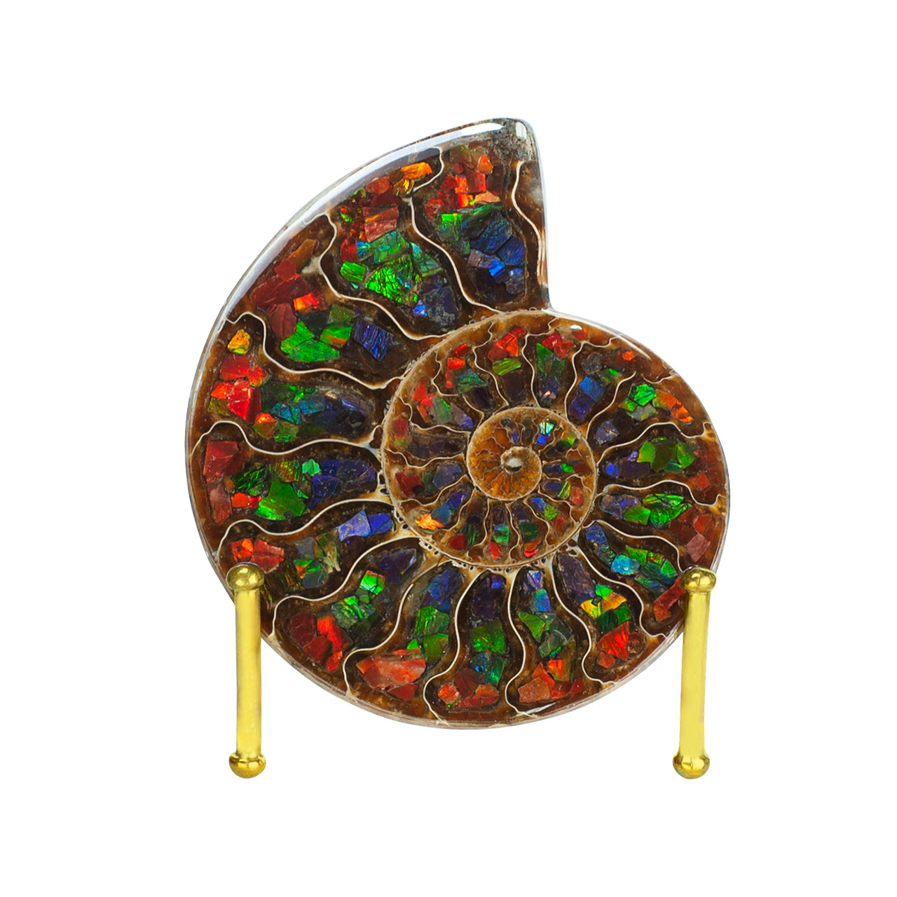 Demi-ammonite avec incrustation d'ammolite, pierre de présentation 10 cm, 1 pièce