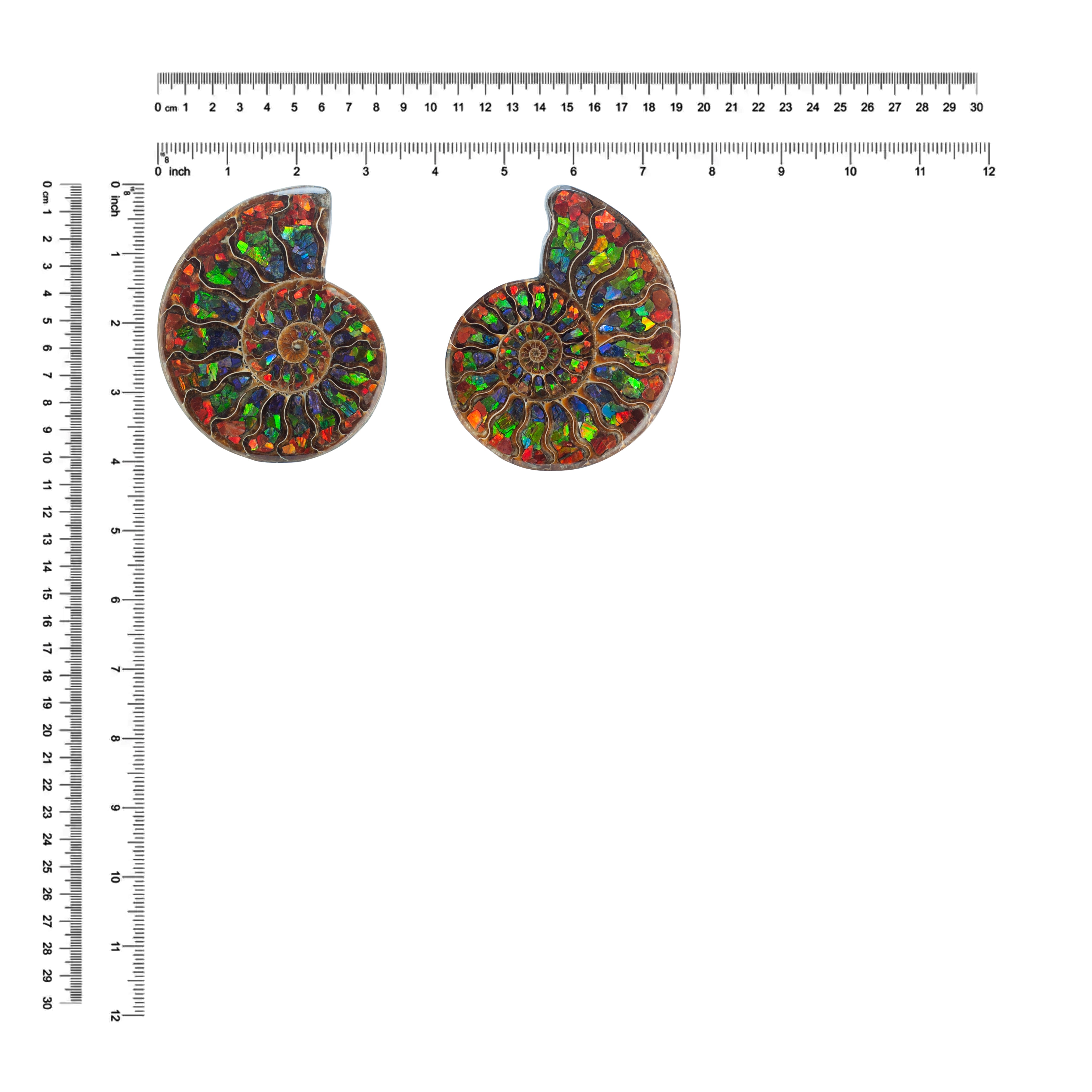 Demi-ammonite avec incrustation d'ammolite, pierre de présentation 10 cm, 1 pièce