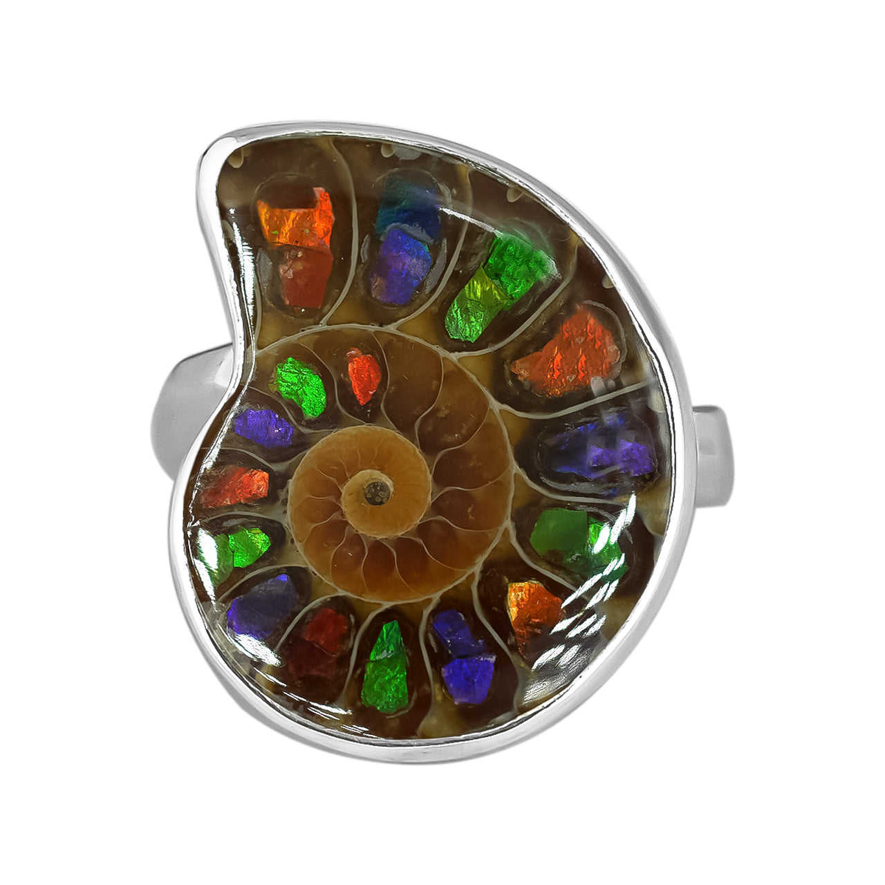 Ring Adjustable Ammonite with Ammolite Inlay