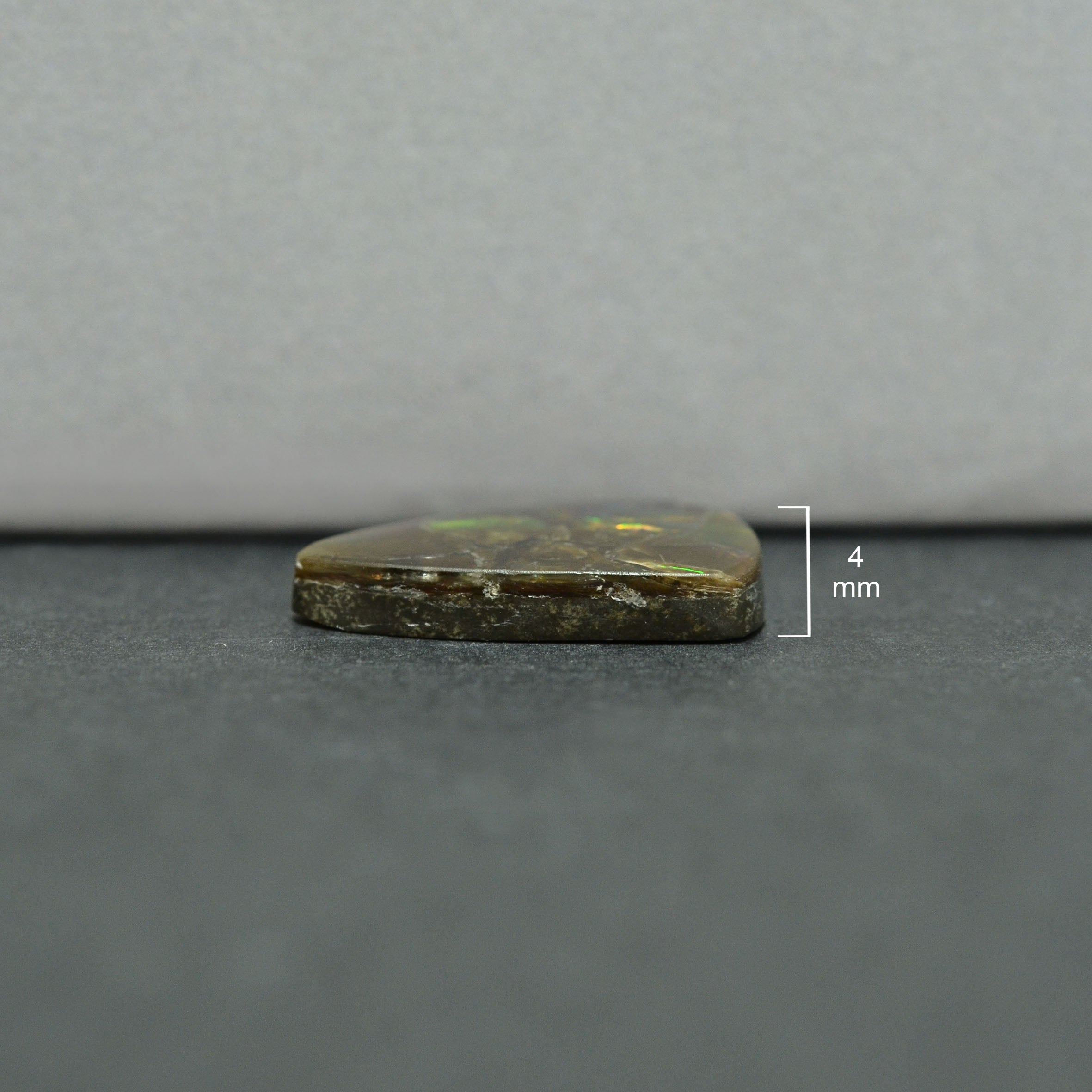 Ammolite Loose Stone