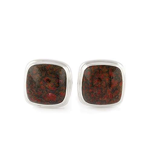 Starborn-Sterling-Silver-Agatized-Fossil-Dinosaur-Bone-Cuff-Links-B074527B18