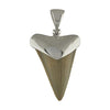 Starborn Fossil Shark Tooth Cap Set Pendant in Sterling Silver
