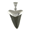 Starborn Fossil Shark Tooth Cap Set Pendant in Sterling Silver