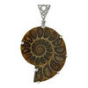Starborn Fossilized Ammonite in Sterling Silver Pendant