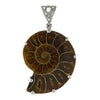 Starborn Fossilized Ammonite in Sterling Silver Pendant