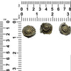 Starborn Ammonite Pleuroceras gefunden in Nürnberg mit Messingfinish 