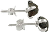 Starborn Natural Meteorite Campo Del Cielo Stud Earrings 925 Sterling Silver