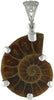 Starborn Petrified Ammonite Anhänger aus 925er Sterlingsilber mit filigraner Öse und Lebensbaumverzierung auf der Rückseite.