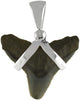 Starborn Fossilized Sharktooth 925 Sterling Silver Pendant