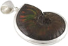 Starborn Creations Sterling Silver Fossilized and Opalized Ammonite Pendant