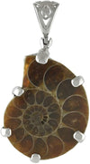 Starborn Petrified Ammonite Anhänger aus 925er Sterlingsilber mit filigraner Öse und Lebensbaumverzierung auf der Rückseite.