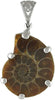 Starborn Petrified Ammonite Anhänger aus 925er Sterlingsilber mit filigraner Öse und Lebensbaumverzierung auf der Rückseite.