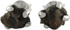 Starborn Genuine Meteorite Nugget Stud Earrings 925 Sterling Silver