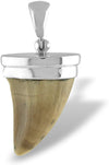 Starborn Fossil Mosasaurus Tooth Pendant in Sterling Silver