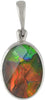 Starborn Ammolite with Faceted Quartz Oval Pendant in Sterling Silver Setting