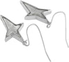 Starborn Creations Sterling Silber Muonionalusta Meteorit Stern Ohrringe