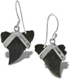 Starborn genuine fossilized Sharkteeth 925 Sterling Silver Earrings