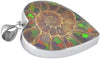 Starborn Ammolite in Ammonite Sterling Silver Heart Pendant