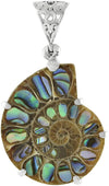 Starborn Ammonite Pendant Inlaid in Abalone (Paua Shell) in 925 Sterling Silver