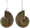 Starborn Ammonite with Abalone Inlay Earrings in 925 Sterling Silver Small