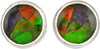 Starborn Ammolite Stud Earrings 9 mm Sterling Silver Setting