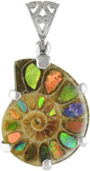 Starborn Ammonite with Ammolite Inlay Sterling Silver Prong Set Pendant with Filigree Eyelet
