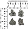 Starborn Genuine Campo Del Cielo 20-30 Gram Meteorite Nugget