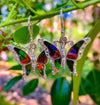 Starborn Canadian Ammolite Butterfly 925 Sterling Silber Ohrringe Produktname