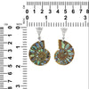 Starborn-Ammoniten-Anhänger mit Abalone-Intarsien (Paua-Muschel) aus 925er-Sterlingsilber