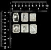 Starborn Manifestation Crystal 35-70 carats, one Piece (Quartz-in-Quartz)