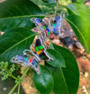 Starborn Ammolite Sterling Silver Butterfly Pendant