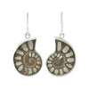 Starborn Ammonite with Pyrite Inlay Earrings in Sterling Silver, Bezel Set