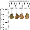 Starborn Ammolite inlaid Ammonite Earrings (small)