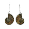 Starborn Ammonite with Turquoise Inlay Earrings in Fine Sterling Silver