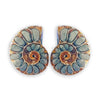 Ammonite Half with Pyrite Inlay Cabochons 20-23mm - 1 pair