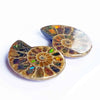 Ammonite Half with Ammolite Inlay Cabochons 29-31mm - 1 pair