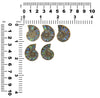 Ammonit-Hälfte mit Abalone-Inlay-Cabochon 25 mm – 1 Stück